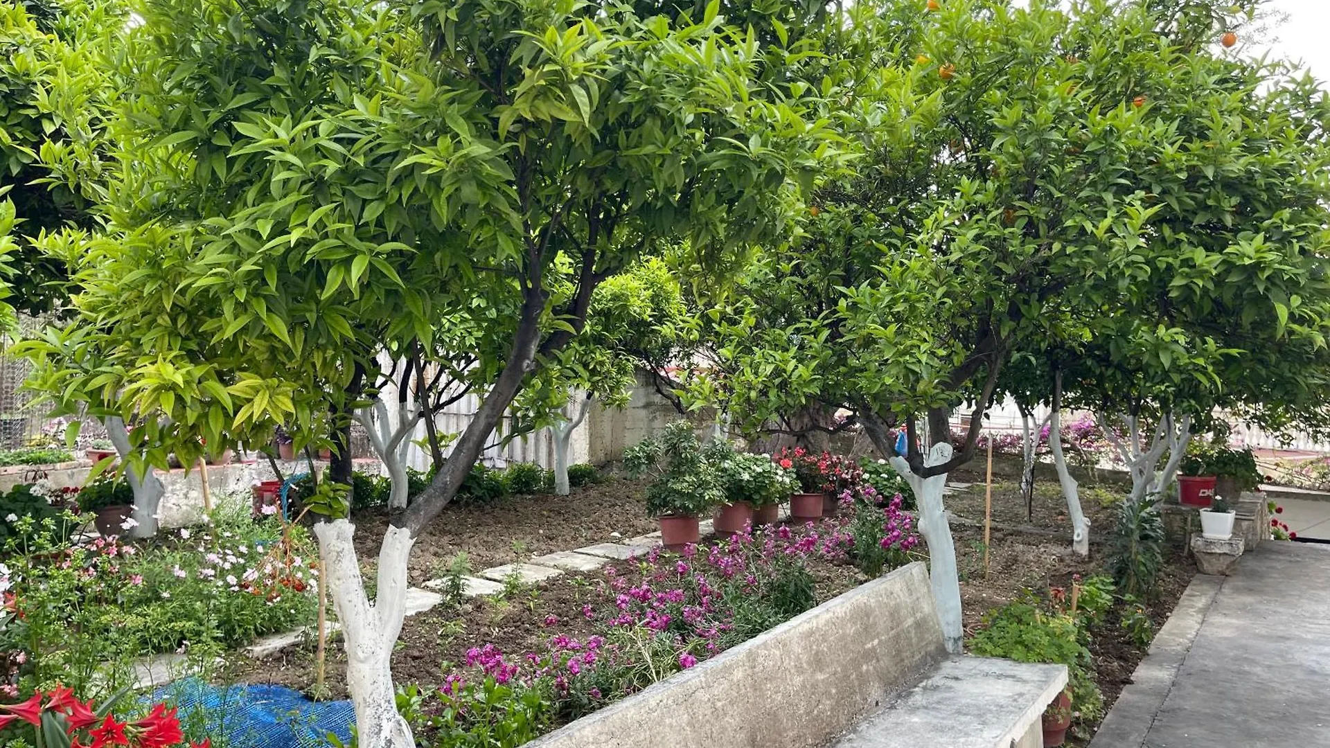 City Center & Near Lungomare Guest House Vlore 0*,  Albania